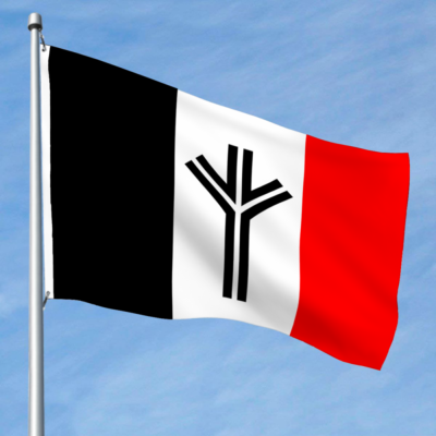 Flag of National Alliance flag 2x3Ft 3X5Ft 4X6Ft 5X8Ft Banner