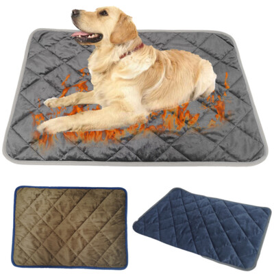 Vipsport Gr How To Make Your Cat Indoor Outdoor Electric Heating - Main Image