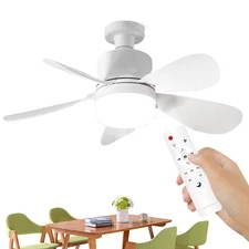 Ceiling Light with Fan Household Small Fan Light Intelligent Lighting judicious