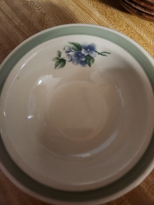 2 Pfaltzgraff Garden Party Impressions Cereal Soup Dessert Bowls 