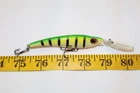 Unknown Fishing Lure