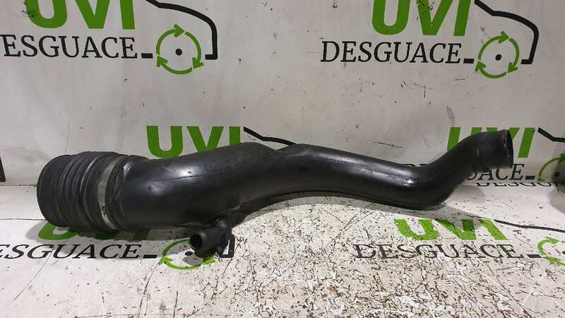 Imagen 2 de 2