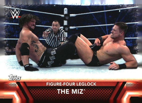 2017 Topps WWE Then Now Forever base, bronze and inserts - you pick - pyc - Picture 332 of 373