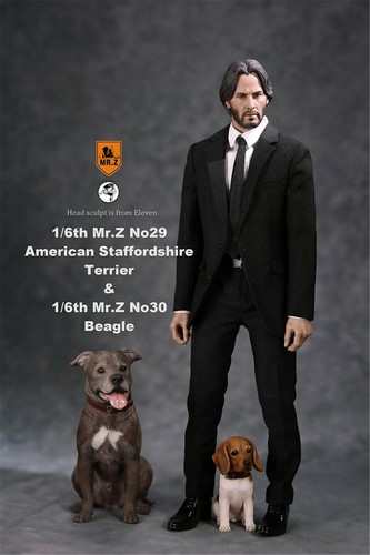 Mr.Z 1/6 Cane da caccia Beagle Cucciolo Animale Animale Modello Animale Collettore Decorazione Giocattoli - Foto 3 di 14