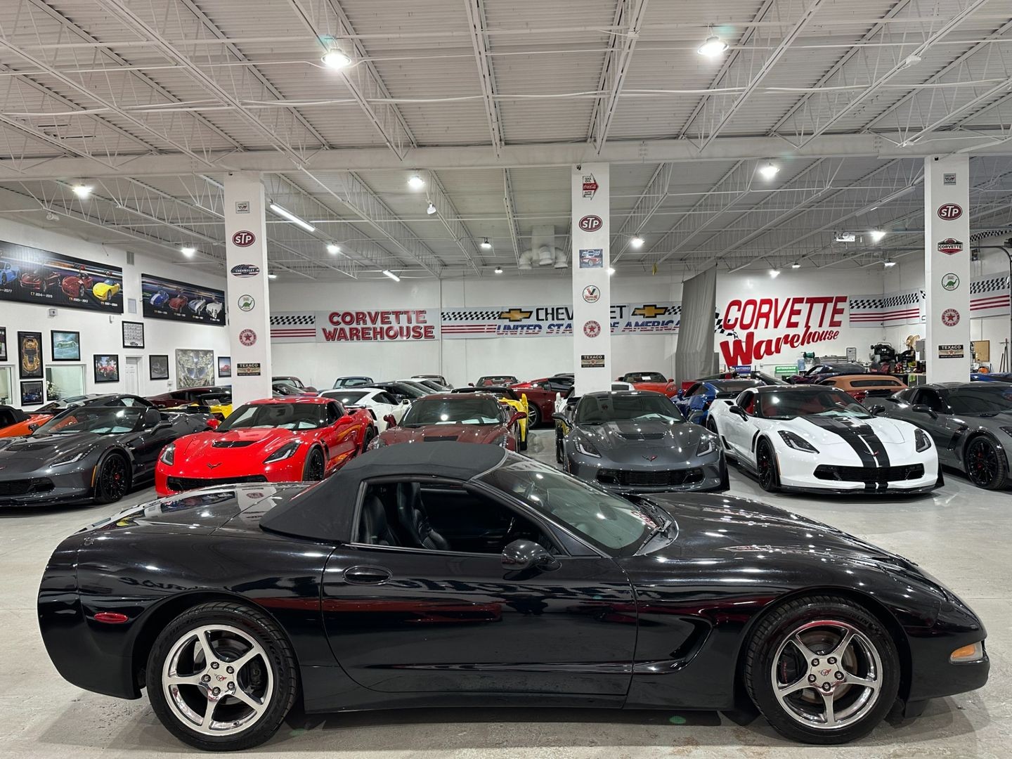 2004 [41U] Black Chevrolet Corvette   | C5 Corvette Photo 6