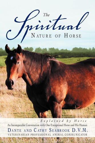 Thumbnail - The Spiritual Nature Of Horse Explained By Horse: An Incomparable