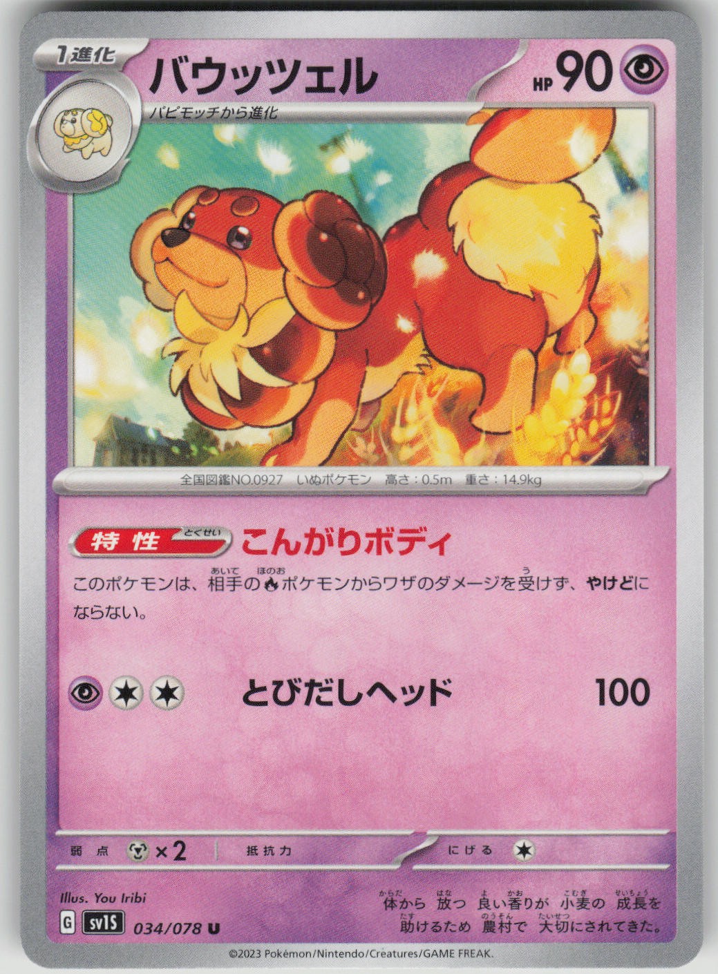 Pokemon TCG Japanese Dachsbun Uncommon SV1S: Scarlet ex 034/078