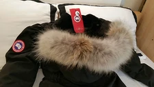 BRAND NEW RED LABEL EDITION BLACK CANADA GOOSE TRILLIUM MEDIUM PARKA JACKET