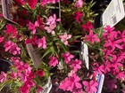 Bild 2 von 4