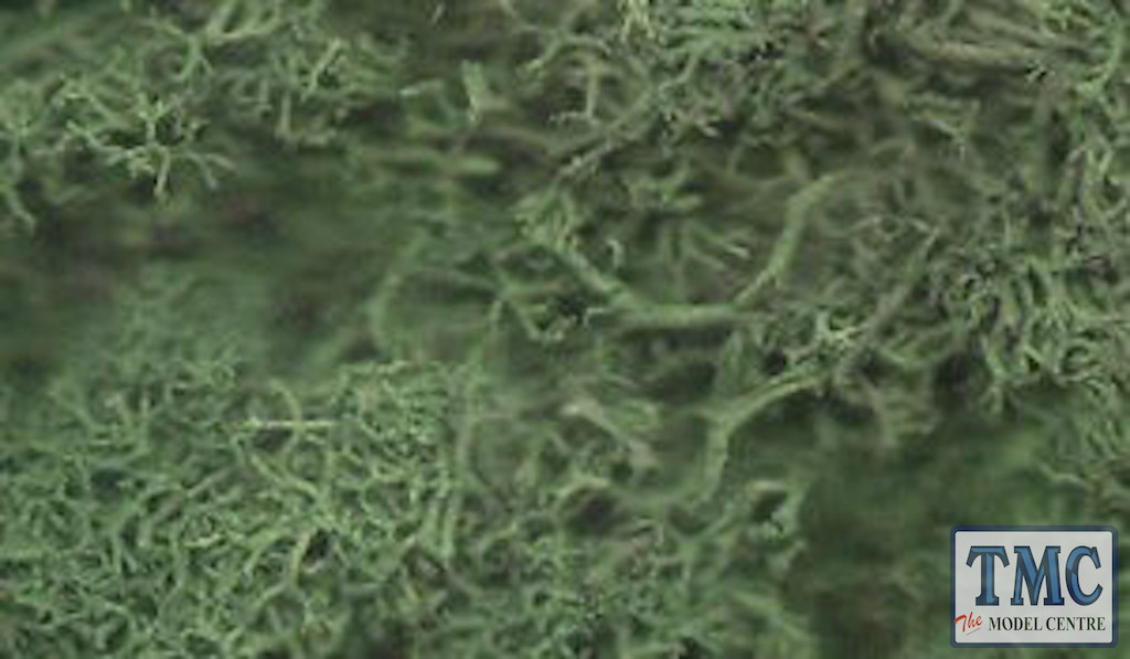 JDGLS Javis JAVIS DARK  GREEN LICHEN