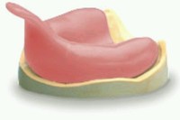 50 Nobiltray Light-cured Tray Material Pink Sheets Dental Triad Lab Supplies 50 Nobiltray Light-cured Tray Material Pink Sheets Dental Triad Lab Supplies