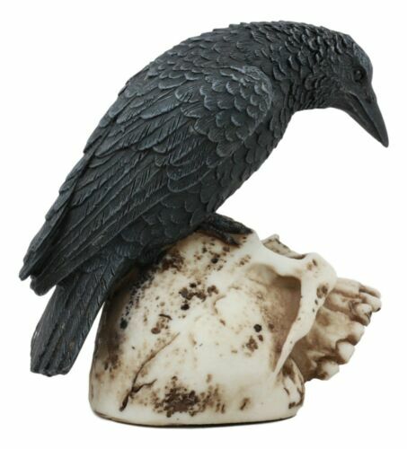 Foreboding Dark Crow Raven On Skull Statue 5"Tall Ossuary Scavenger Raven Bird - Picture 4 of 10