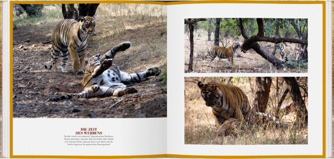 Thumbnail - Die Tiger Von Ranthambhore | Bina Kak | Deutsch