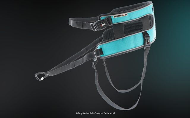 i dog canyon belt