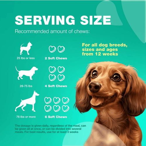 Probiotics for Dogs Support Gut Health Immunity Yeast Balance Itchy Skin - Picture 8 of 9