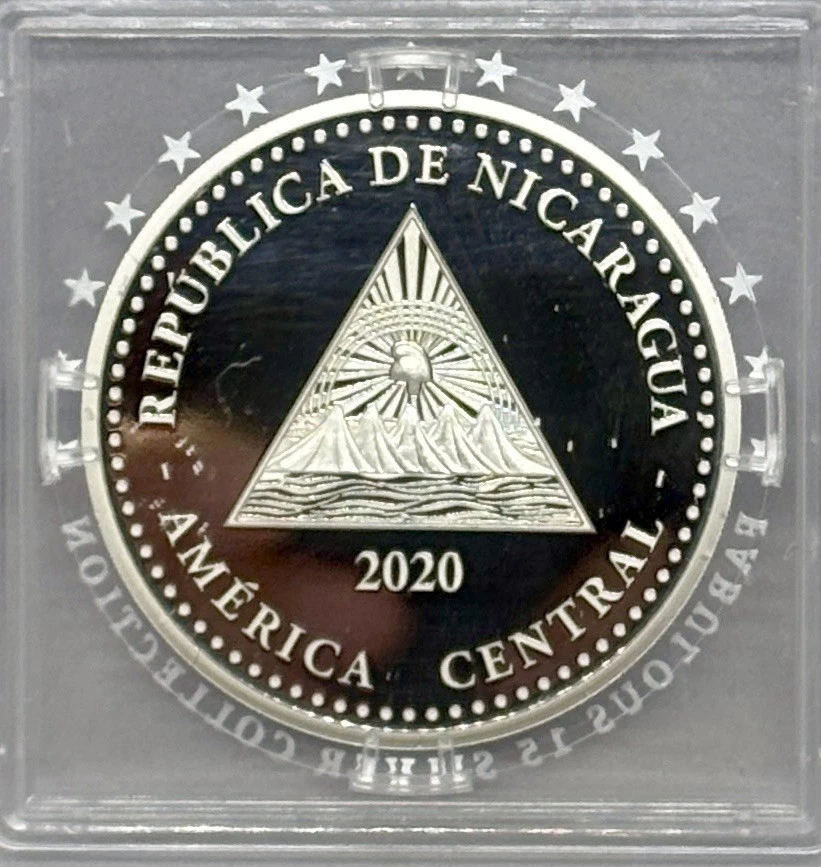 2020 1 盎司银色。 NICARAGUA 10 CORDOBAS 海龟。 FABULOUS 15 系列 — 第 2/4 张图片