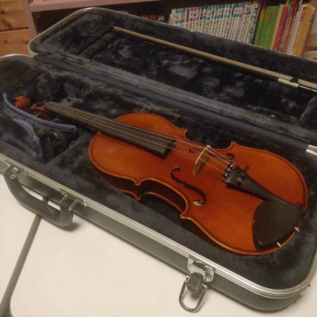 Eastman 3/4 Size Violins for sale | eBay
