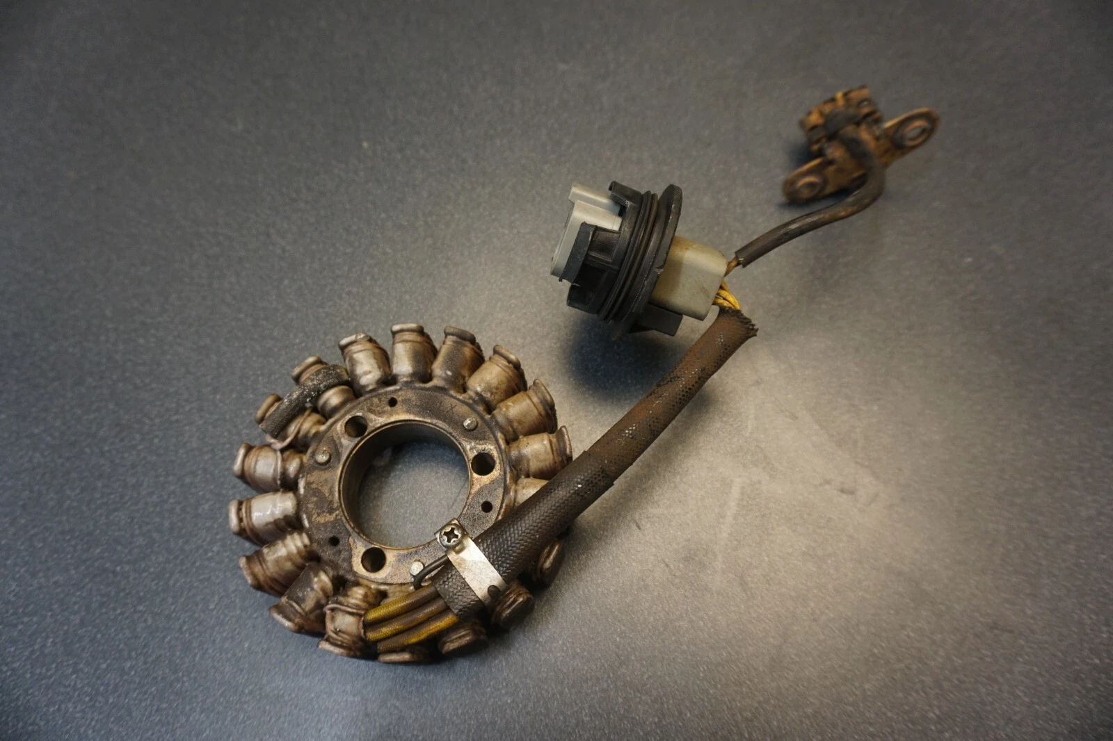 1996-2003 Sea-Doo OEM Magneto Stator Coil Ass'y Freshwater GSX GTX XP