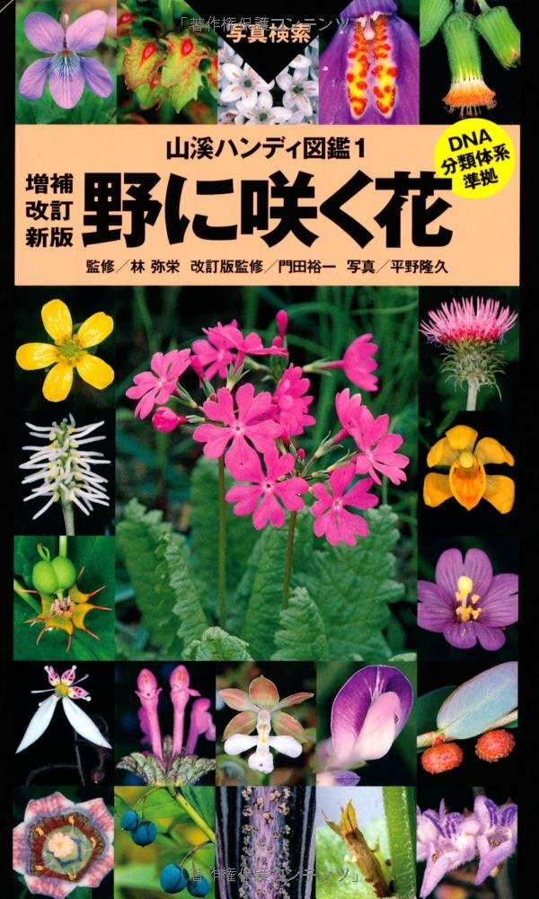 Japanese Wild Flowers Picturebook Field Guide Japan Book | eBay Japanese Wild Flowers Picturebook Field Guide Japan Book | eBay