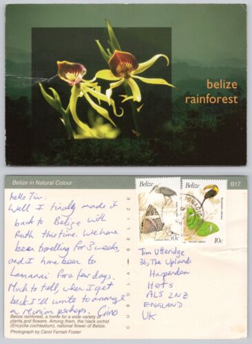 c24457 Black Orchid rainforest flower   Belize  postcard 1994 butterfly stamp - Picture 1 of 3