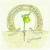 Earthworm Ensemble - Cd - G3Z
