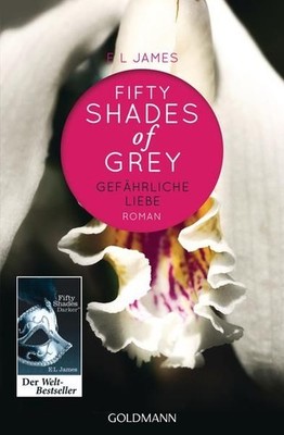 E L James Shades of Grey Gefährliche Liebe Roman TB K305-12 James, E L: