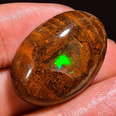 Natural Boulder Opal Oval Cabochon 32,40 ct 20x28x8 mm TP758 Neu