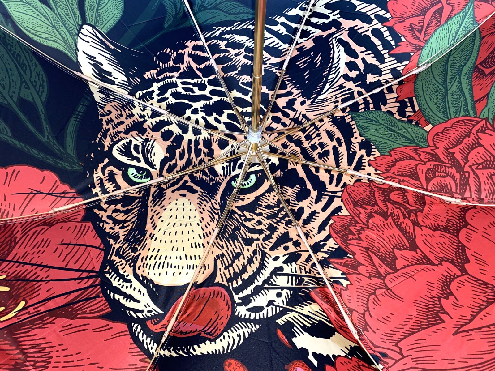 Picture 4 of 15