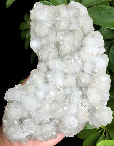 1009g ¡¡Increíble!!!Nuevo muestra de cristal de apofilita natural crudo India ip0801 - Imagen 2 de 12