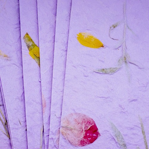 20x Mulberry Sheet Flowers of Pressed Purple Botanical Handmade Paper Book Craft - Bild 3 von 12
