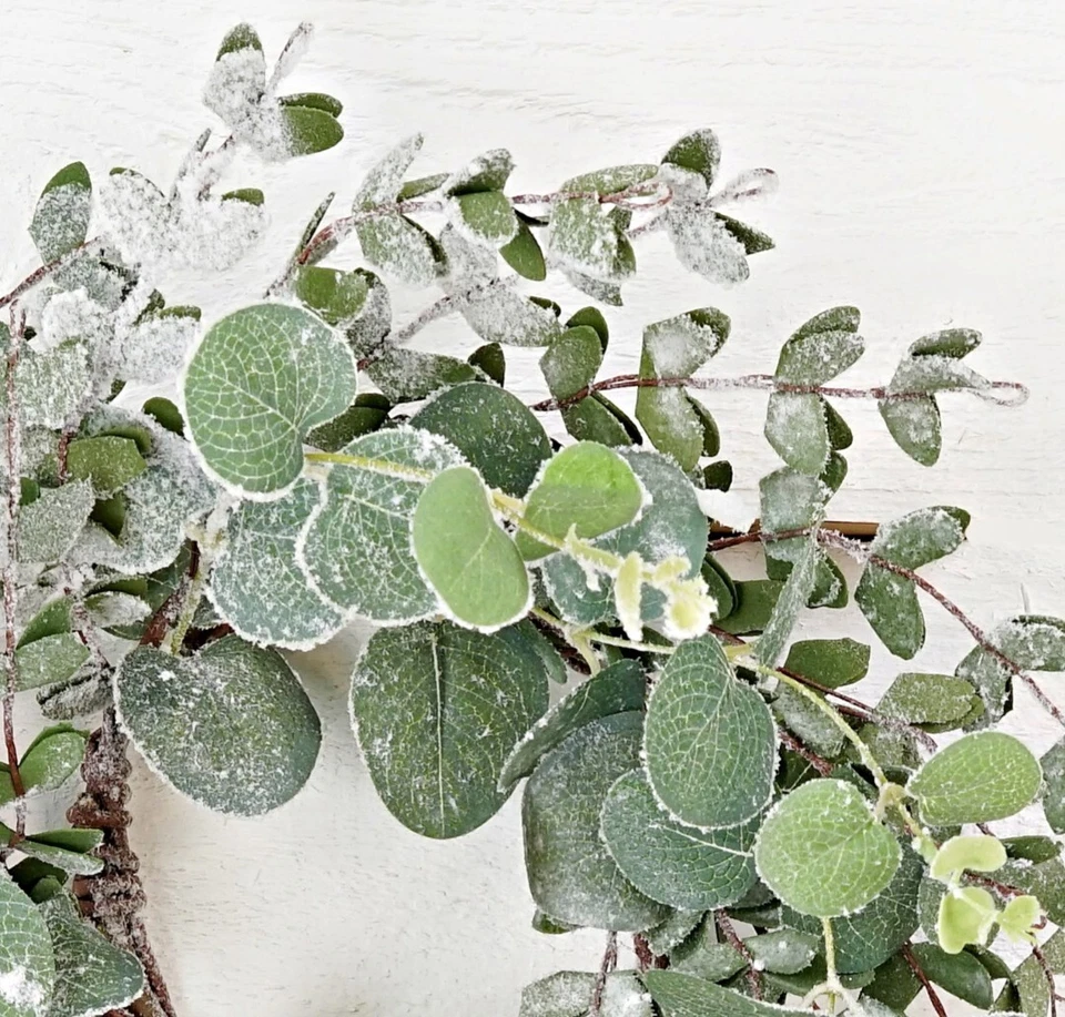 Anillo de vela de eucalipto nevado de 4-1/2" Foto 3 de 4