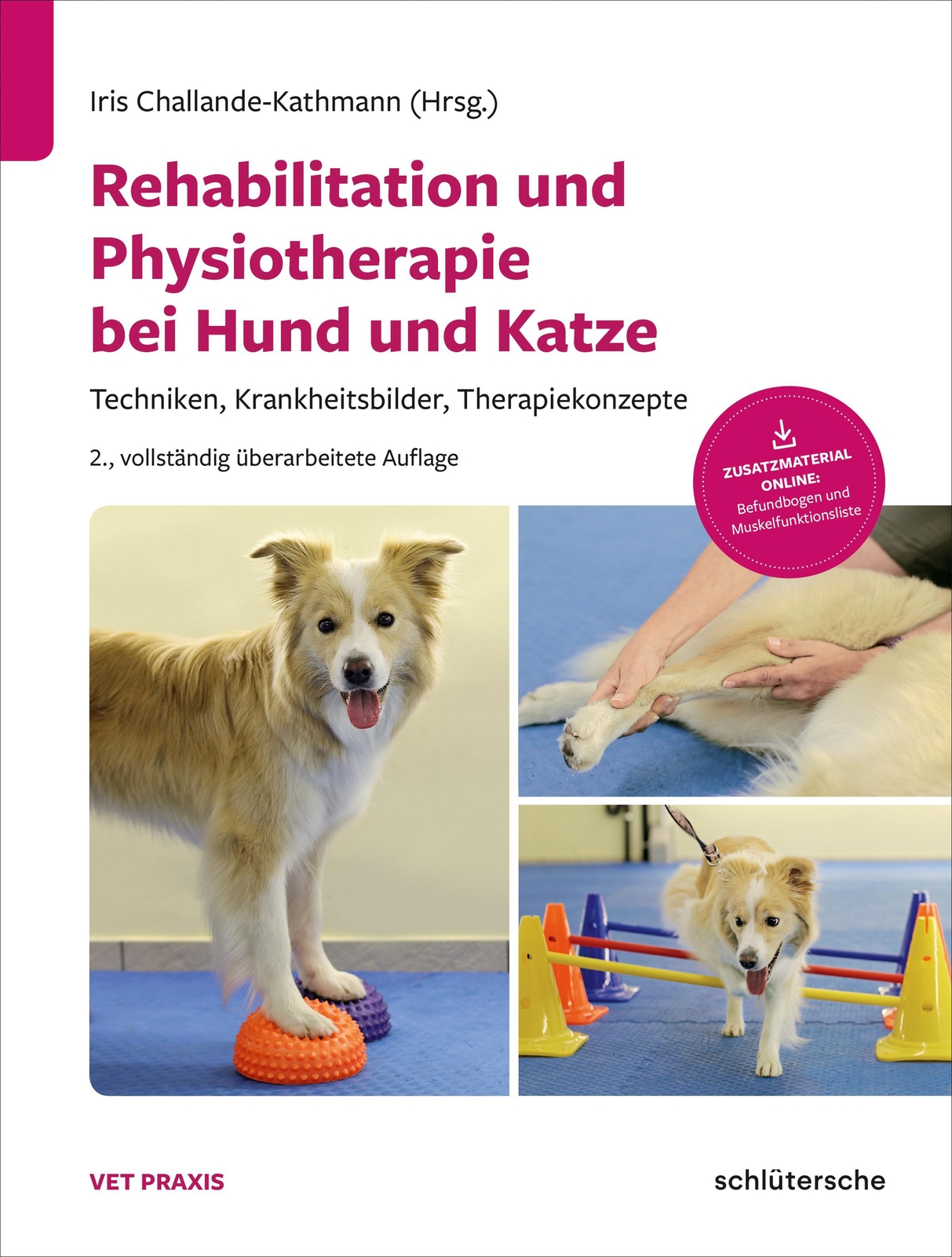 Thumbnail - Iris Challande-kathmann Rehabilitation Und Physiotherapie Bei Hund Und