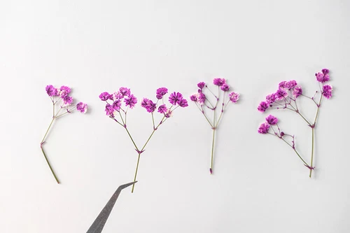Dried Pressed Flowers Natural Epoxy Resin Candle Nail Art Scrapbooking Craft AU - Picture 167 of 210