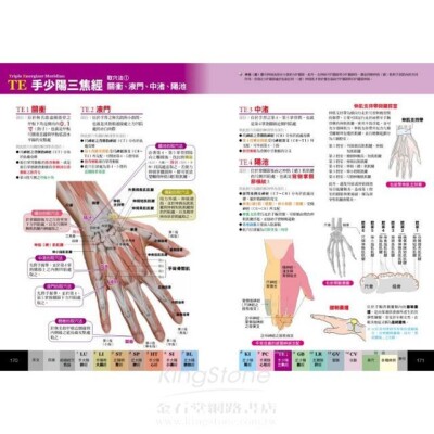 经穴大全Acupuncture Book with Photos 经穴解剖全书| eBay