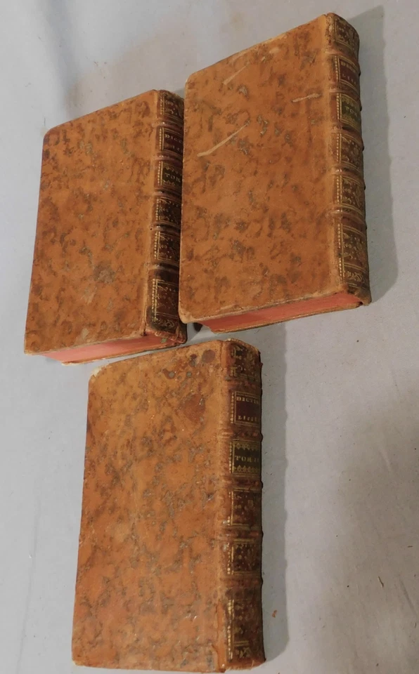 Rare Antique book set complete 1768 Dictionnaire Litteraire 3 volume leather - Image 2 of 4