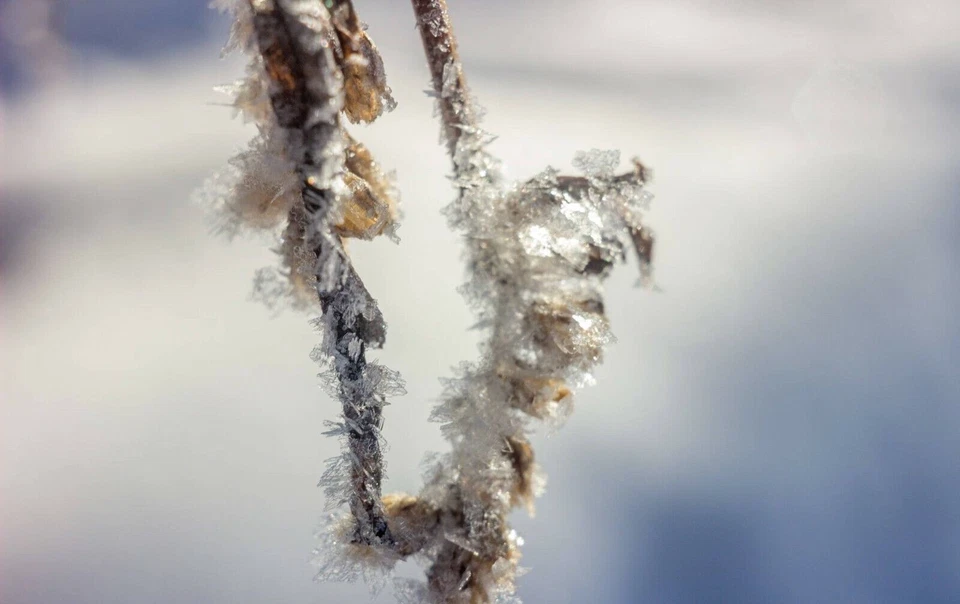 Lente macro INDUSTAR 69 28 mm f/2,8 vintage LEICA M Mount m39 Pancake Canon Sony Foto 3 de 4