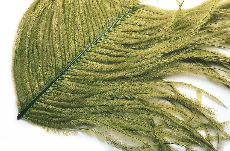 Straussenfeder Veniard 10 Farben Ostrich Teilstück aus Prachtfeder ca. 10cm St.