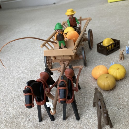 Carro de Caballo y Calabaza de Granjero Playmobil 3735 de Colección Raro con Conejos y Pollos - Imagen 13 de 13