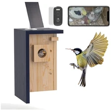 Birdhouse Camera with Solar Powered, HD Vision Camera Watch Bird Nesting & Hatch