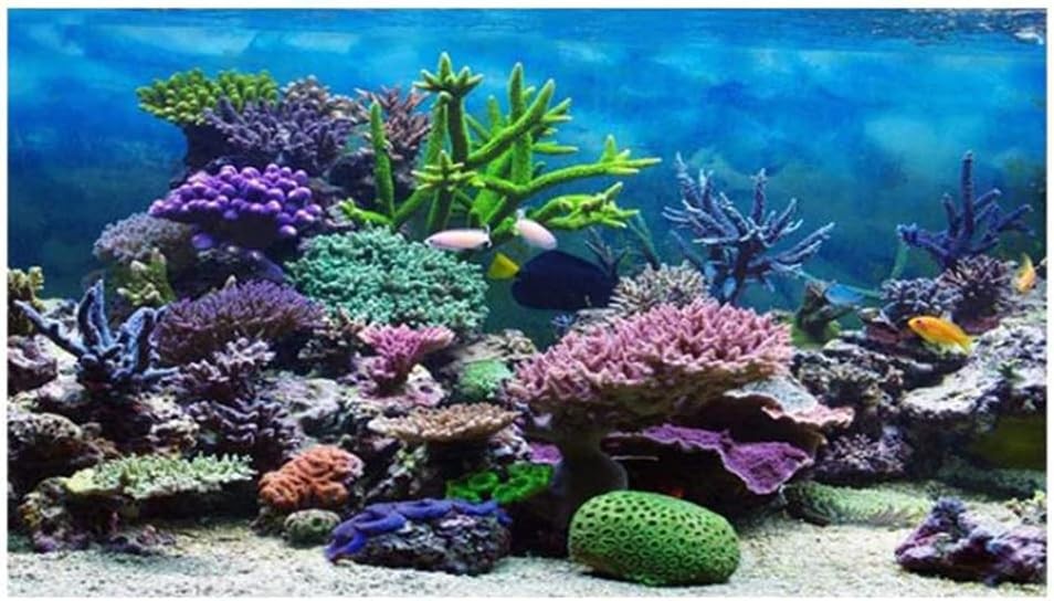 AN Fish Tank Poster Coral Aquarium Background Underwater Poster Tank Background