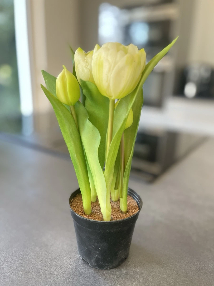 Grne Tulpe Dekoblumen & knstliche Pflanzen online kaufen | eBay.de