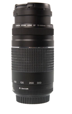 Canon EF 75-300mm f/4-5.6 III Telephoto Zoom Lens - Image 1 of 4