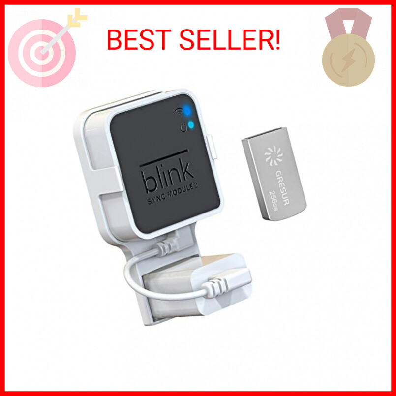 256GB USB Flash Drive for Local Video Storage with The Blink Sync Module 2 Mount-image