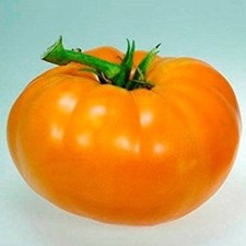Amana Orange Tomato, 30 Seeds, NON-GMO, BUY 2 GET 1 FREE, FREE SHIPPING