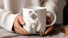 Cat - Feline- Kitten Ceramic Mug  Graphic is Sublimated Free Gift Box
