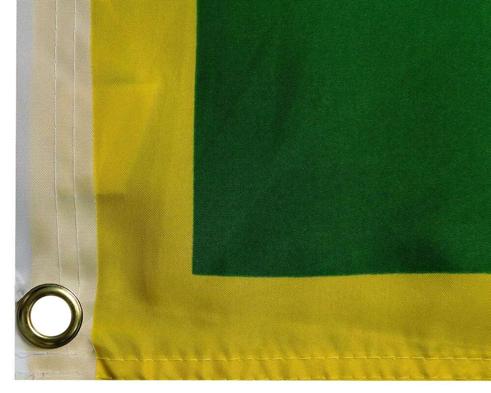 Irlanda Erin Go Bragh String 10 Bandera Poliéster Material Banderines - 9.8 Ft (10') Largo