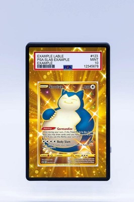 Snorlax 224/198 Chilling Reign Pokemon Extended Artwork For PSA