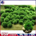 10pc/set 1cm Marimo Moss Ball Cladophora Live Aquarium Plant Fish Aquarium Decor