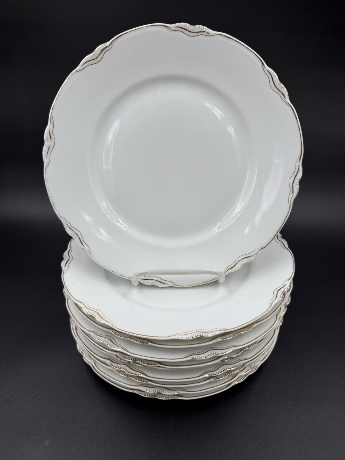MW Co ROYAL SAXONY CHINA Set of 10 Dinner Plates  9 5/8