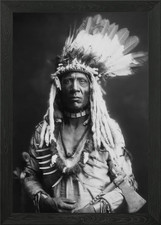 1900 Weasel Tail Framed Wall Art Poster Canvas Print Picture